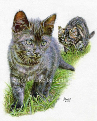 Unsuspecting
White Cartridge Paper
9" x 7.5"
Tarka and Griffin (Laila's 2nd litter)